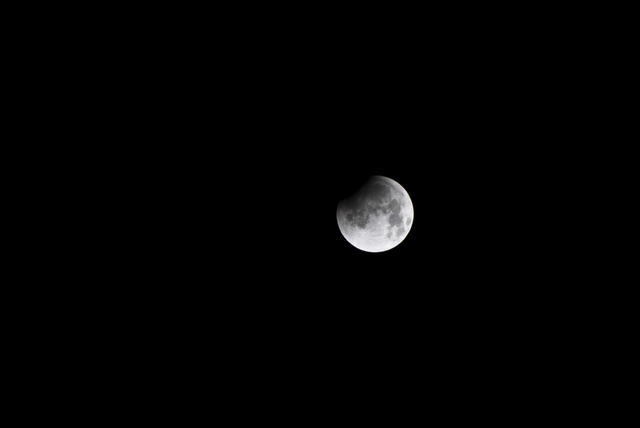 DSC_0003