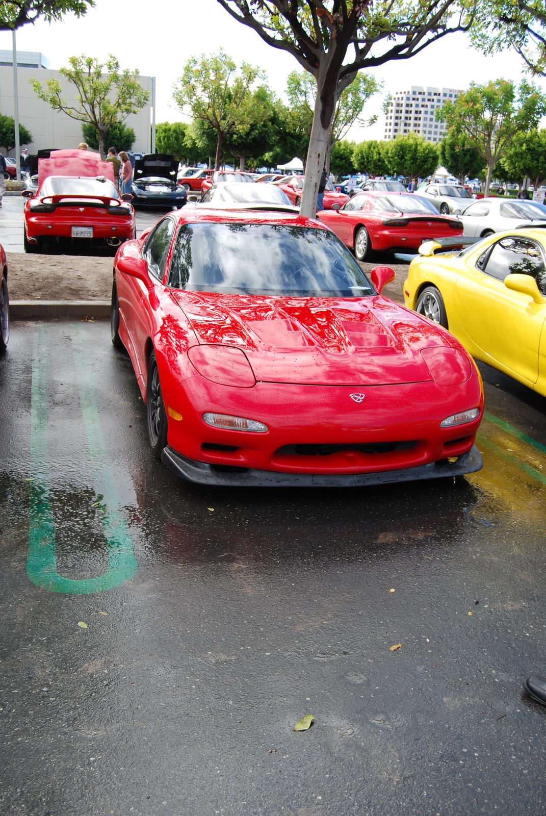DSC_0006