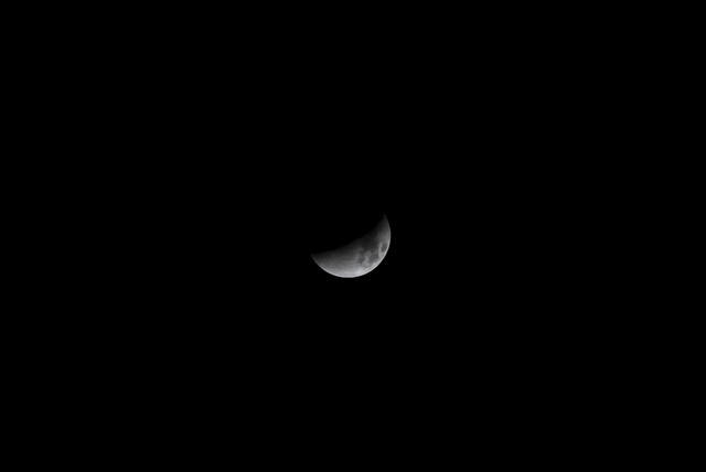 DSC_0030