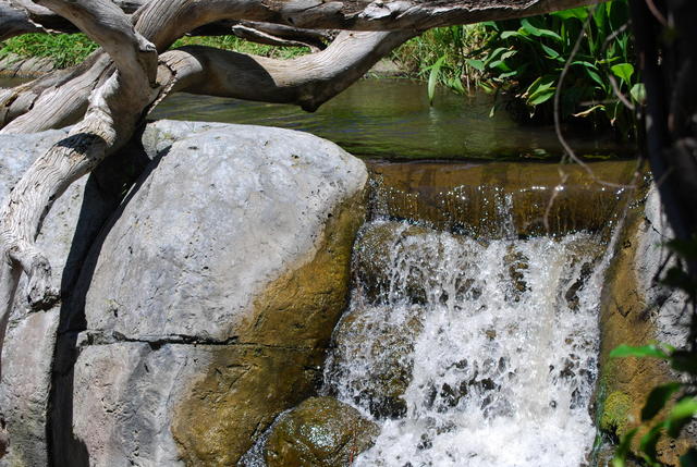 DSC_0069 (2)