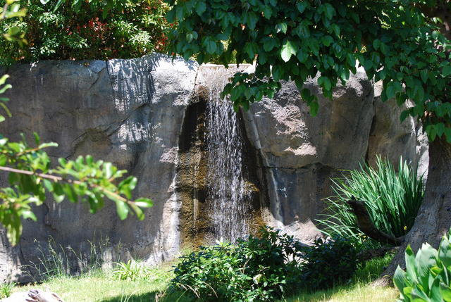 DSC_0070 (2)