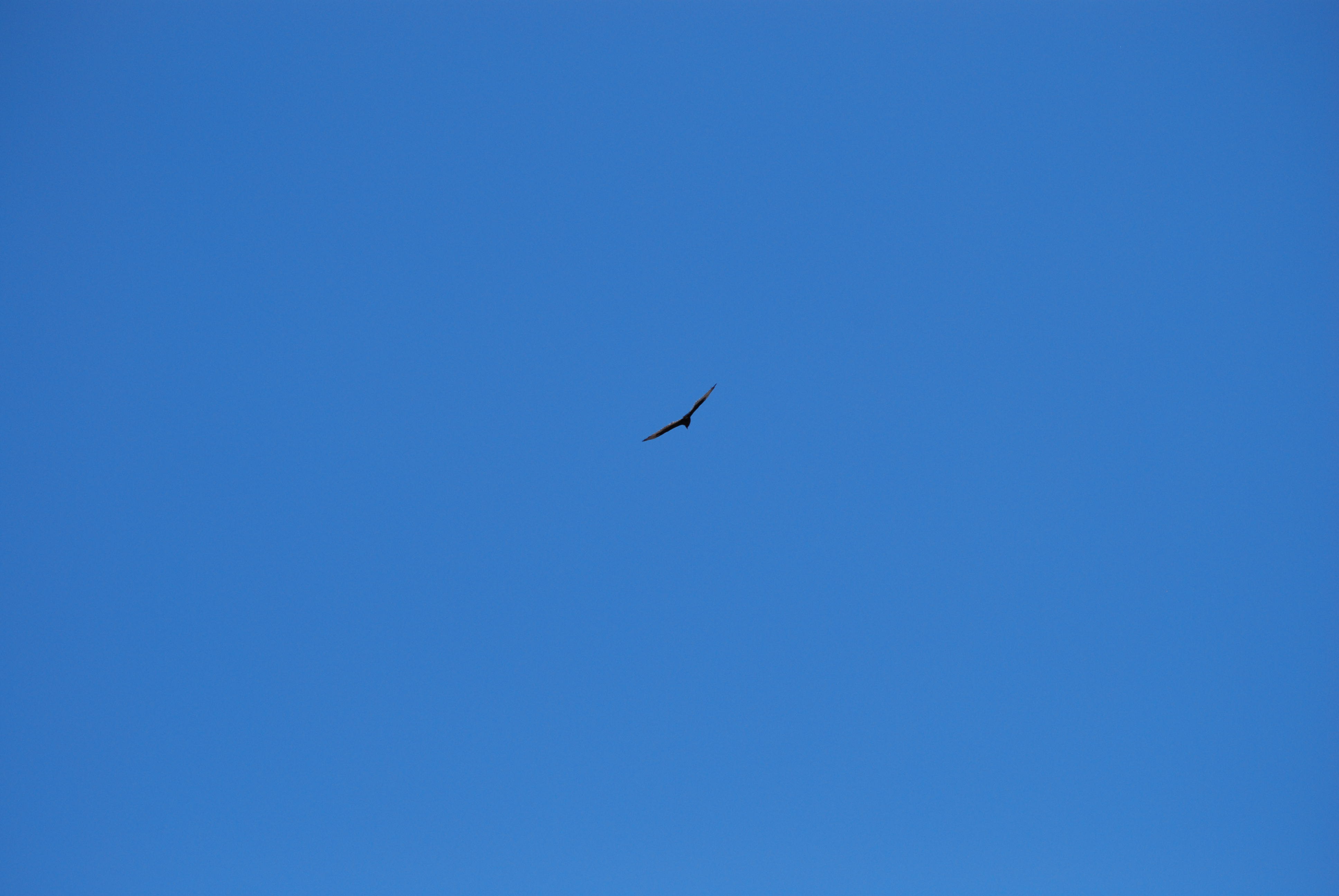 DSC_0090