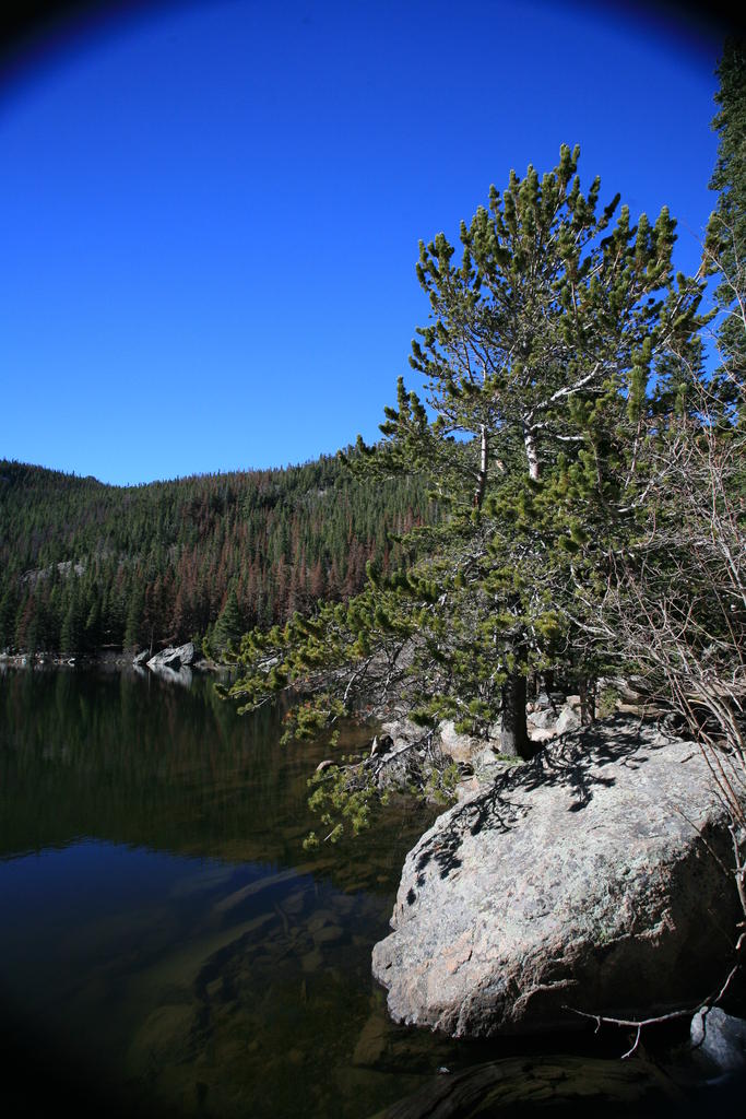 IMG_1715.JPG
