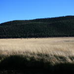 IMG_1784.JPG