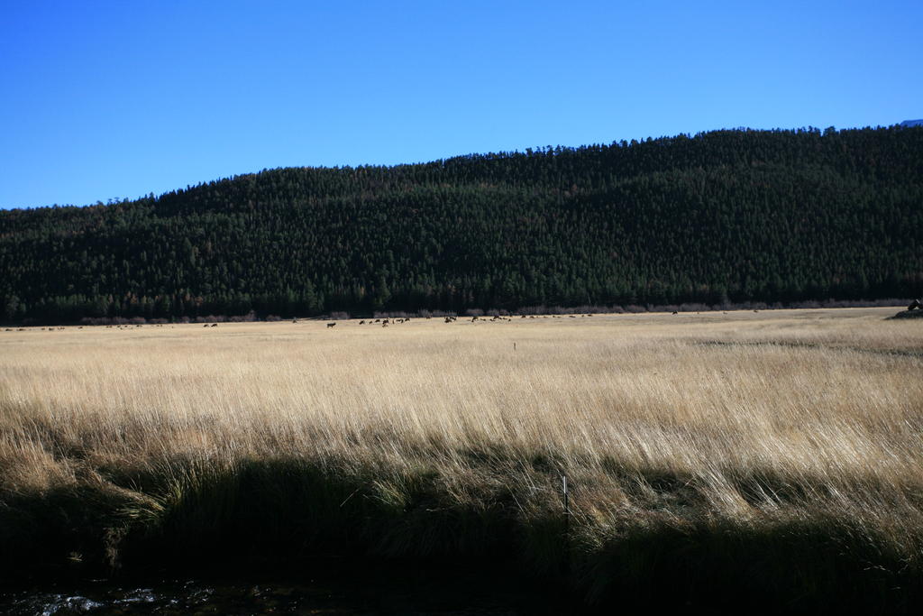 IMG_1784.JPG