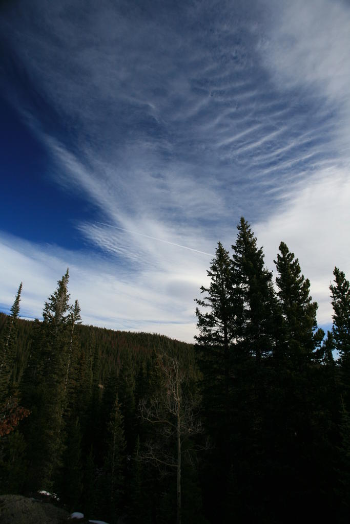 IMG_1886.JPG