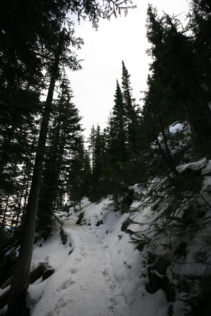 IMG_1982.JPG