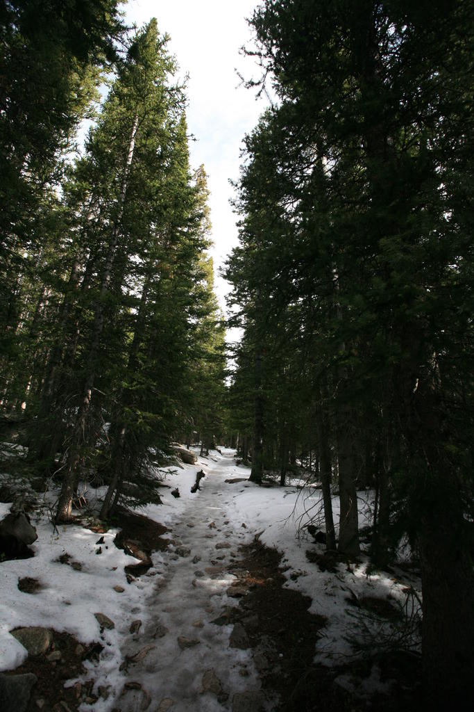 IMG_2038.JPG
