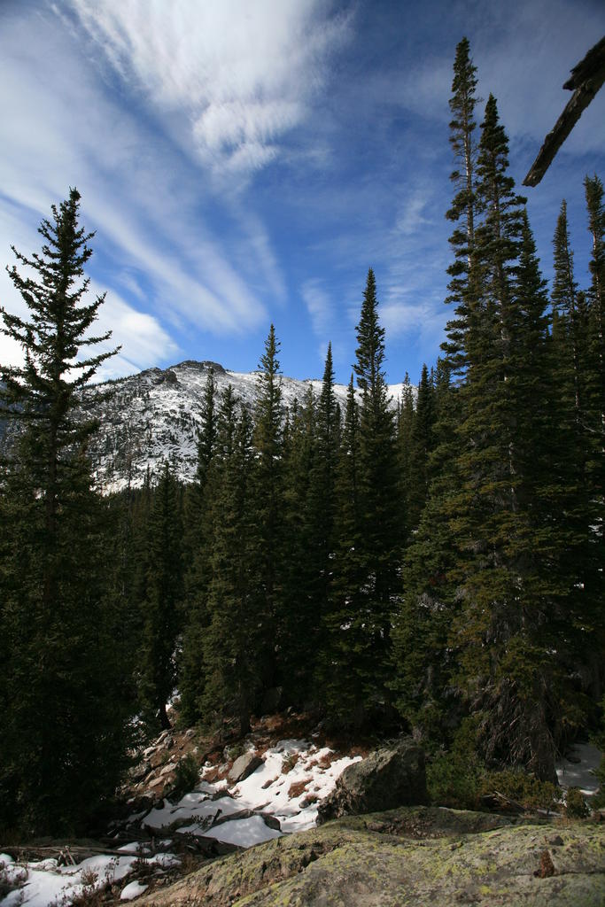 IMG_2044.JPG