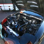 IMG_2167.JPG