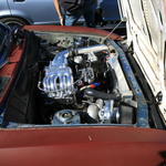 IMG_3777.JPG