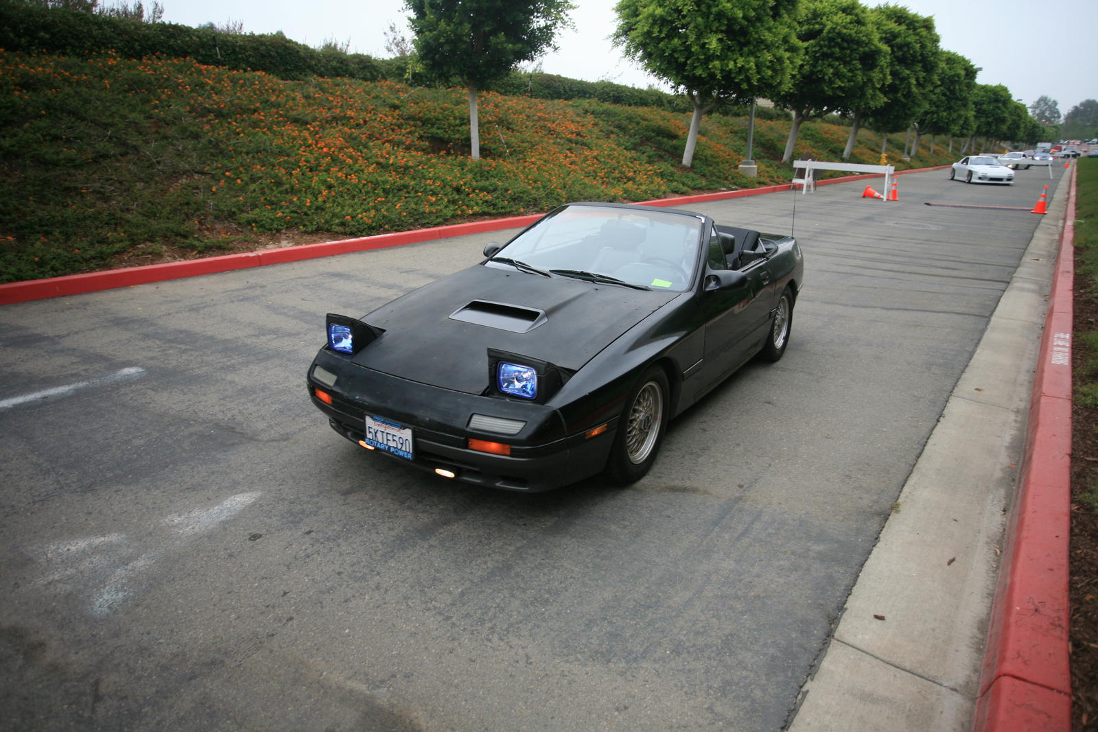 IMG_4413.JPG
