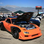 IMG_4528.JPG