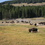 IMG_4598.JPG