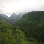 IMG_4951.JPG