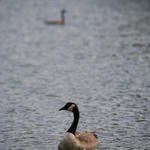 IMG_5099.JPG