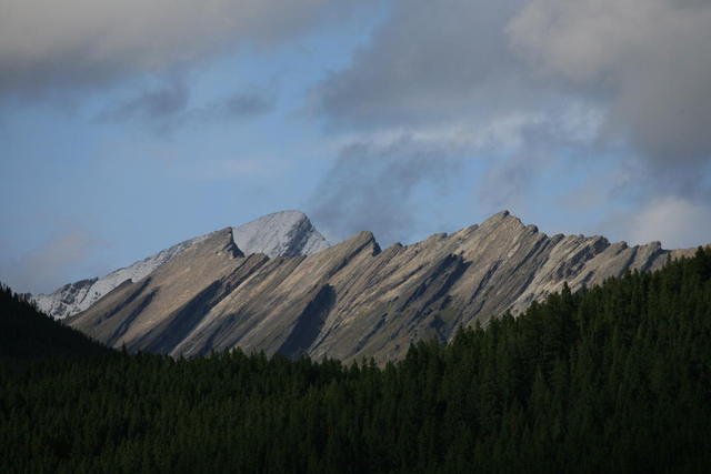 IMG_5246.JPG