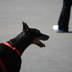 IMG_6547.JPG