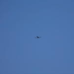 IMG_6549.JPG