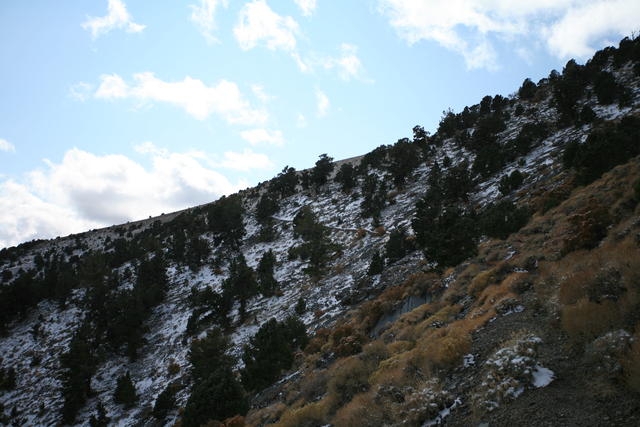 IMG_6682.JPG