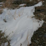 IMG_6704.JPG