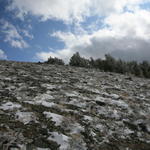 IMG_6724.JPG