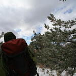 IMG_6727.JPG