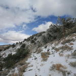 IMG_6745.JPG