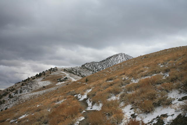 IMG_6753.JPG