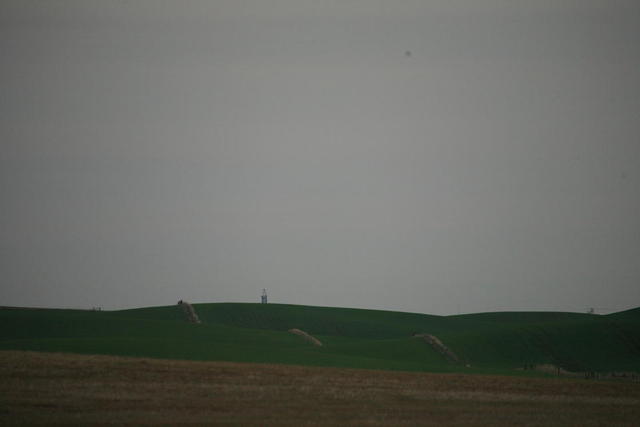 IMG_7771.JPG