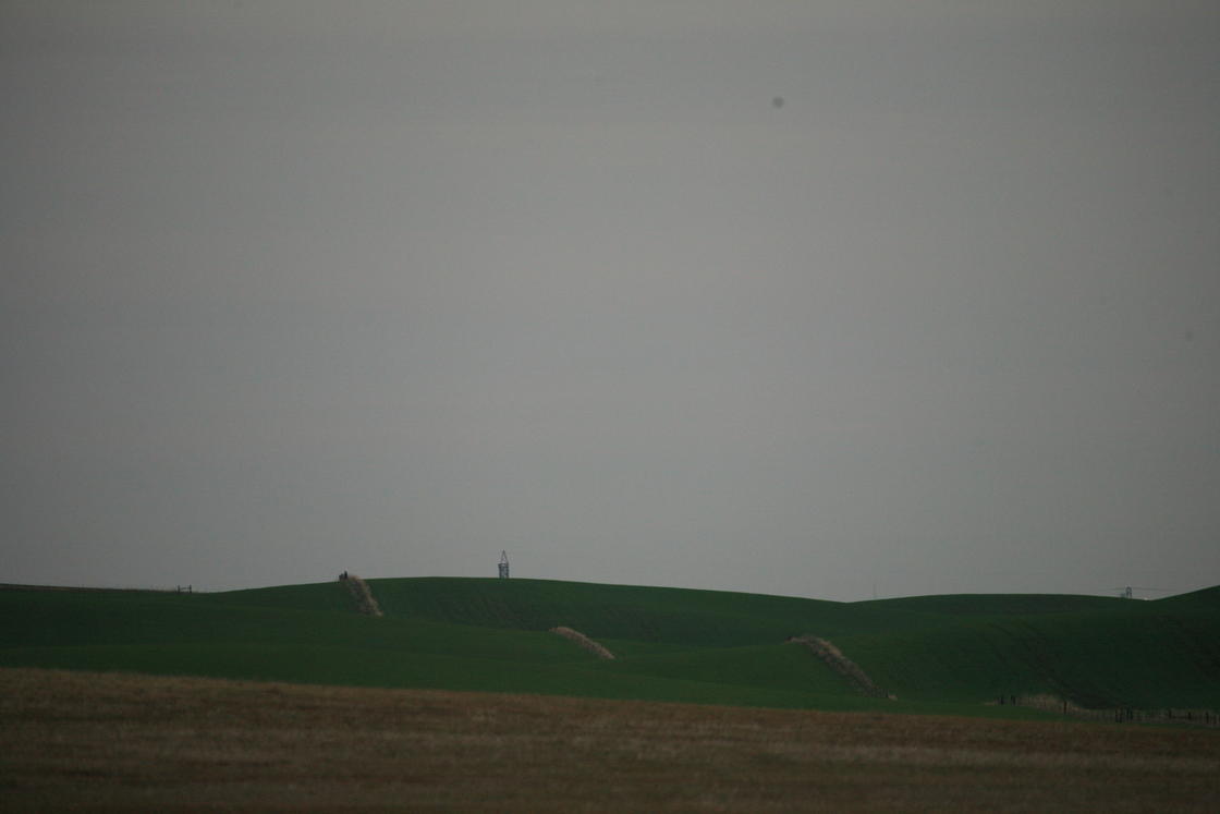 IMG_7771.JPG