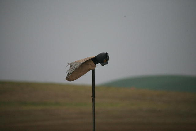 IMG_7798.JPG