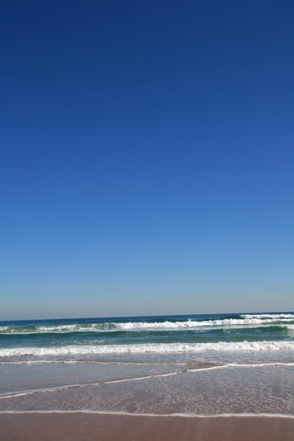 IMG_8797.JPG