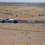 IMG_8971.JPG